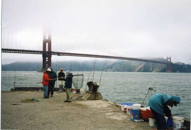 ③サンフランシスコに到着した時<br />　<br />なぜか空港内が妙な雰囲気・・・実は年に１回の「ゲイのフェスティバル」からの帰りの人達がたくさん空港に居たからビックリ！<br /><br />ＳＦは霧が多いですね。ゴールデンゲートブリッジの下の方では地元の人が秋刀魚を入れ食い状態でバンバン釣ってました。