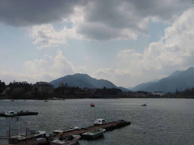 【河口湖畔】<br /><br />　地上降りて間近で見るとこんな感じ