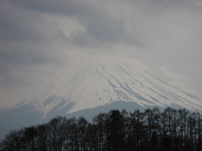 　なんとか富士山が見えるようになっているじゃあーりませんか!?(゜∀゜)<br /><br />　日ごろの行いがいいおかげか(ﾉ´∀｀*)<br /><br />時間が許す限り、この場所で雲がなくなるのをずっと待ってましたよ。。