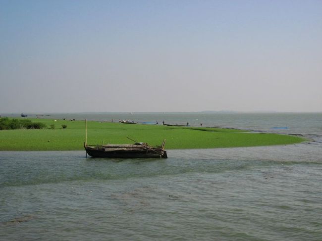 岸辺には、今にも飛び降りて駆け回りたくなるような、緑の絨毯。