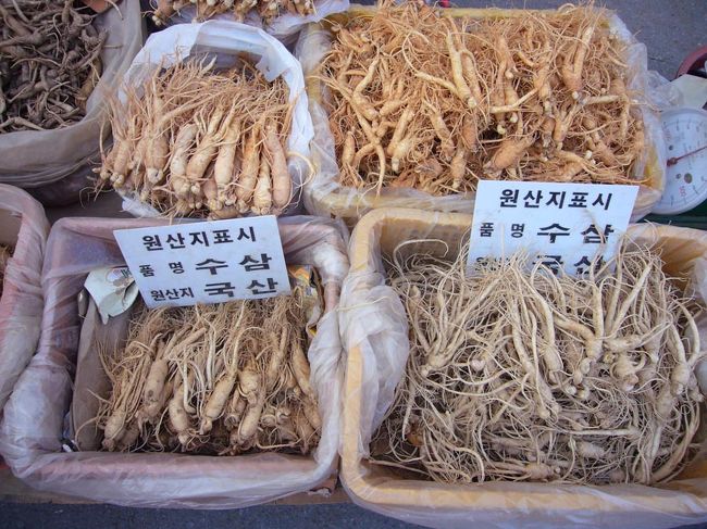 やはり、朝鮮人参は目に付きます。