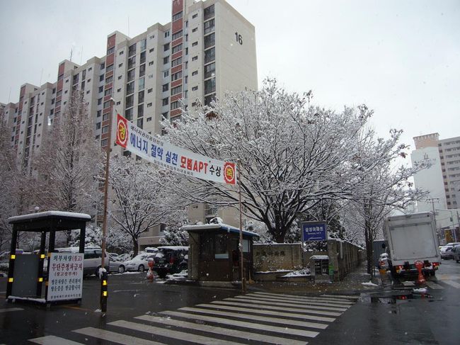 まずは、バスで、テジョン（大田）へ。<br />ソテジョン（西大田）駅から、列車で、ヨス（麗水）へ向かう。<br />テジョンの町も雪だった。