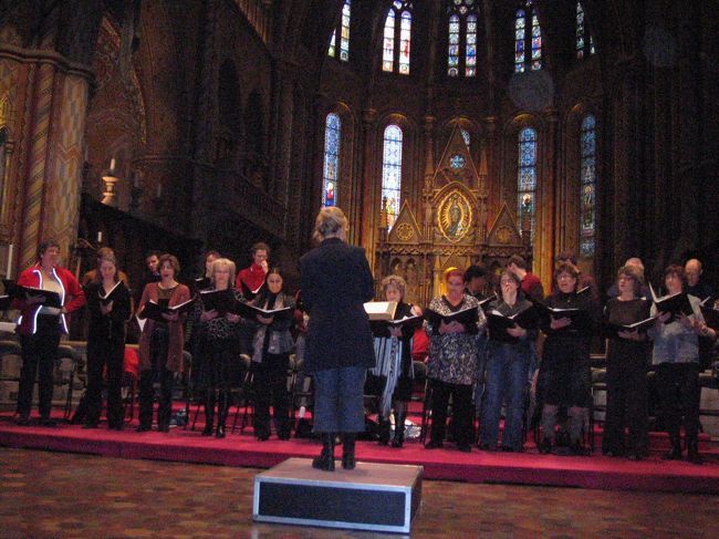 エコーする歌声はとてもすてきでした。