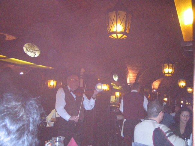 夕食はKaltenbergレストランでバイオリンの演奏を聴きながら頂きました。