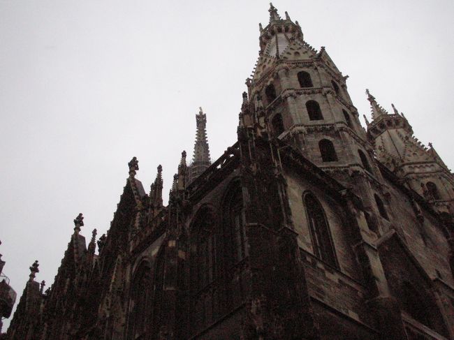 シェーンブルン宮殿を後に、次はウィーンのシンボル、シュテファン大聖堂に来ました。<br /><br />800年以上の歴史を誇るウィーンの顔です。<br /><br />