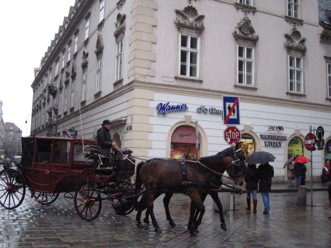 シュテファン大聖堂がそびえる広場には馬車の姿が。
