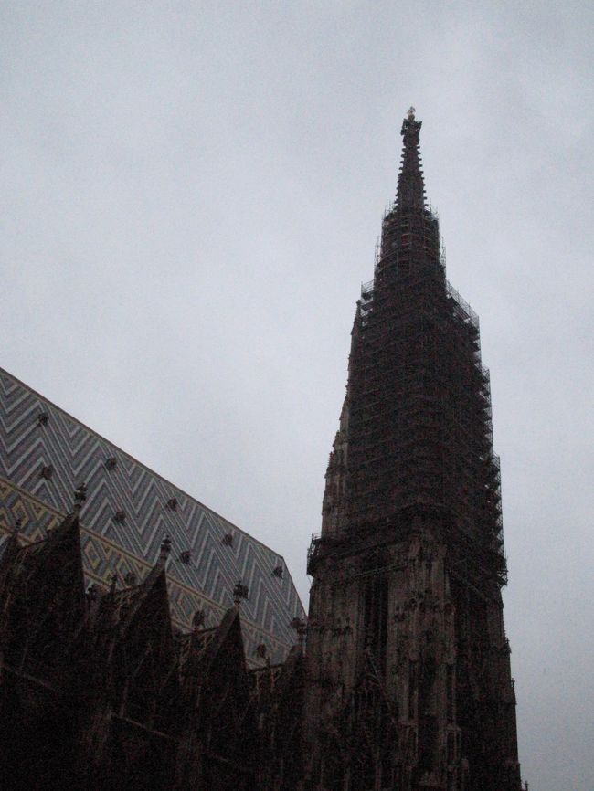 モザイク模様の美しい屋根は５万枚ものタイルを使って、ウィーン市の紋章が描かれています。