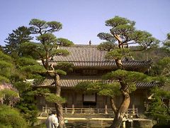 ＜東光寺／大雄宝殿＞
松陰神社から一生懸命自転車をこいで坂を上って向かったのは東光寺。静寂感に包まれた境内を奥へと進む。