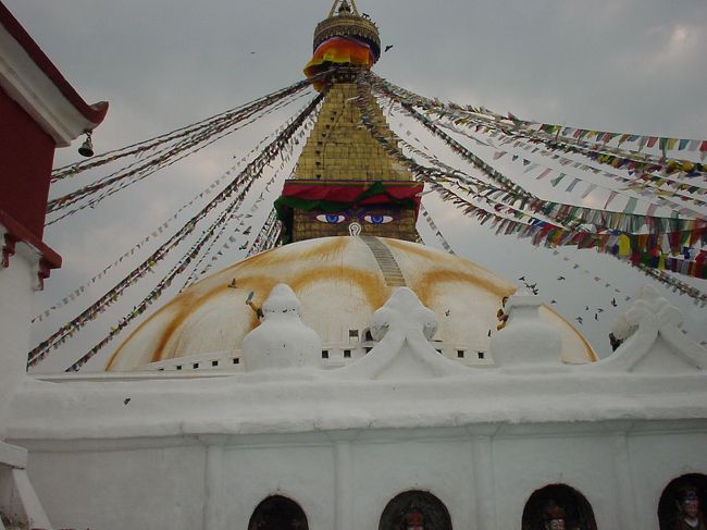 憧れだったボダナートです。