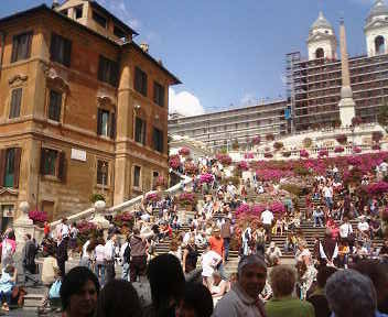 お花が咲いてキレイなので<br />もう一枚。