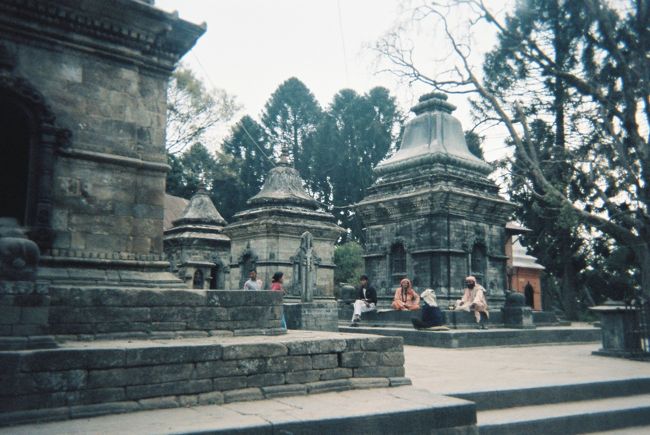 ガンジャやってるとおもいます。この人たち。<br />(´ﾍ｀；)