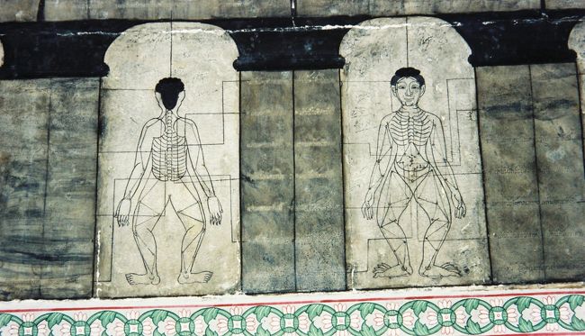 ワットポーにて。<br />タイ古式マッサージの総本山らしく、ツボの絵がありました。