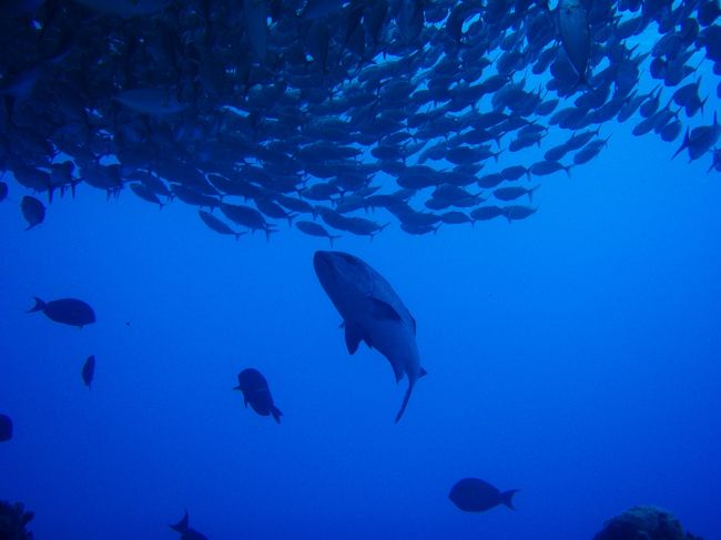飽きませんでした。