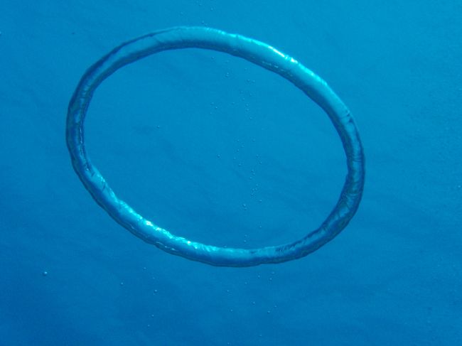 イントラのお兄さんが作ってくれました。<br />3重くらいになってた。