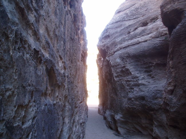 この道の先には