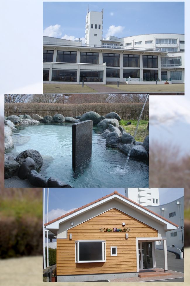 ホテルからは富士山と山中湖が見えます。　　野天風呂もあり、犬猫のホテルもあります。　動物の宿泊費が一晩５千円です。