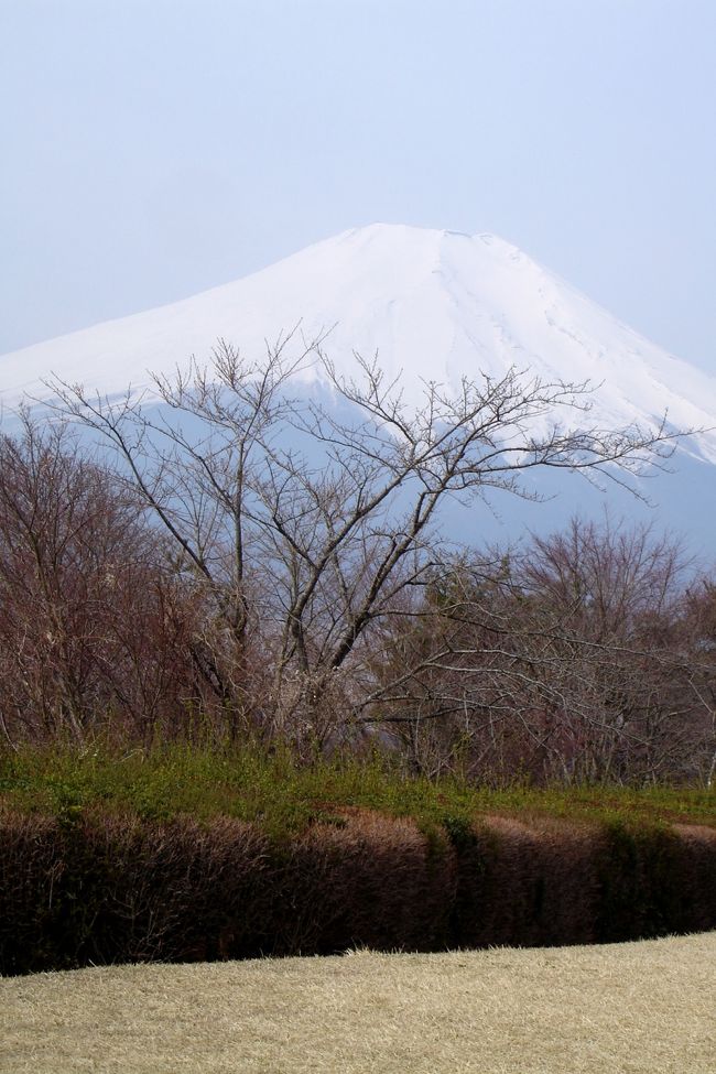 今回は真っ青な空が富士の背景に無くて残念でした。でも、さすがは富士、やはり日本一の山ですね。