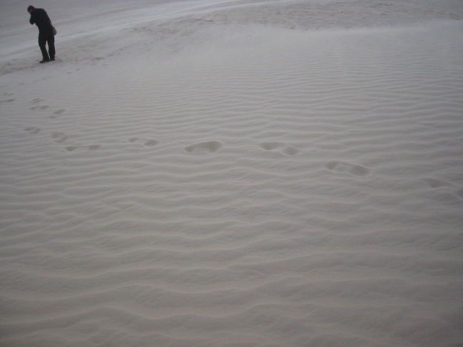 砂漠に足跡を残してみました