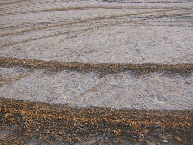 本当に塩なのか？なめてみました・・・やはり塩でした