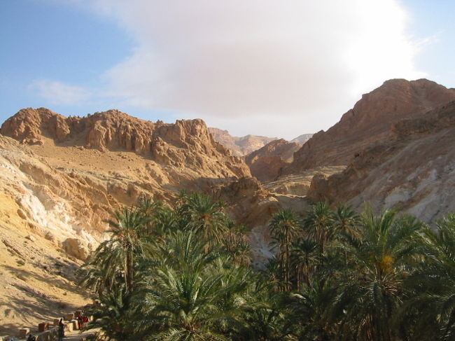 オアシスに来ると雲が出ています。<br />水分が有るからですね・・・
