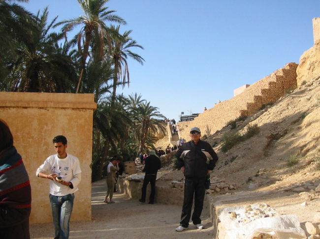 何故に砂漠の中にオアシスが有るのでしょうか・・<br />空が青いです