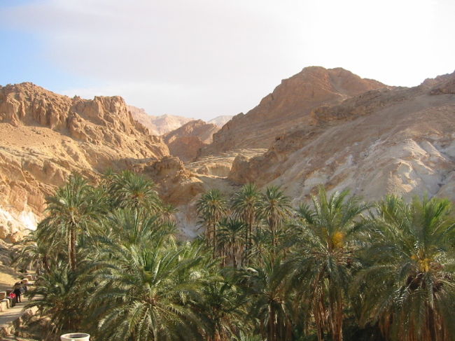 人垣を避けて美しい山を