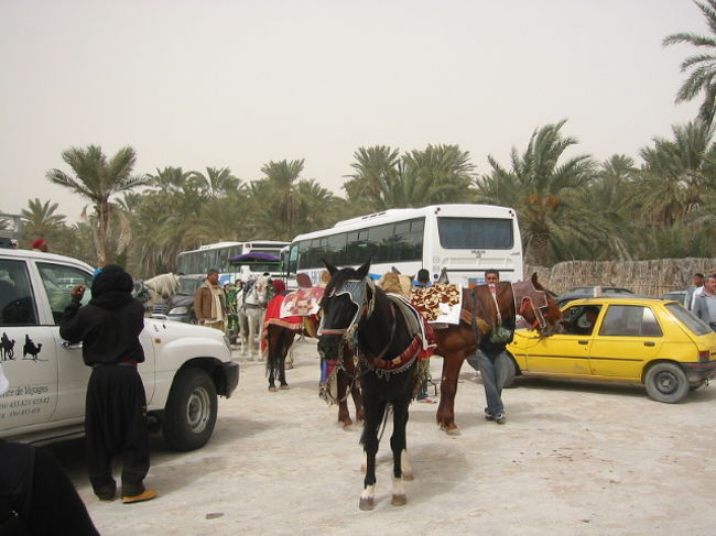 場面が変わりました、このオアシスで昼食を頂きました。地名シェピカだと思います。<br />ラクダとか馬に乗ることが出来ます。