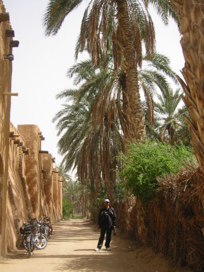 道の側面にやしの葉を束ねた塀がオアシスらしいですね・・・