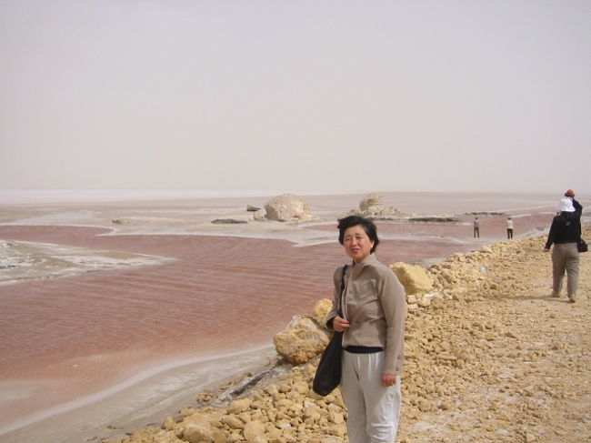 塩湖ショット・エル・ジェリドにて<br />直線の何キロも続く道路の左と右の川（水の流れ）色が違います。赤の水（鉄分とかが有るのでしょうか）