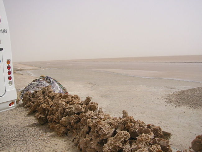 塩湖の砂漠の薔薇がいくらでも有ります。<br />塩湖に含まれる、塩と何かの成分と風に吹きつける砂が砂漠の薔薇を作り出すとのことでした。<br />赤くない方の水です。