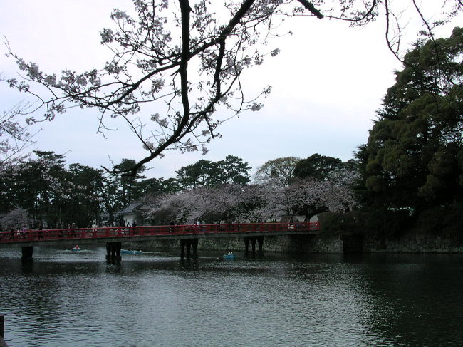 駅からお堀に向かう道はお花見の観光客でいっぱい。<br />赤い橋「まなび橋」を渡ると元城内小学校の校庭です。イベントをやっていました。
