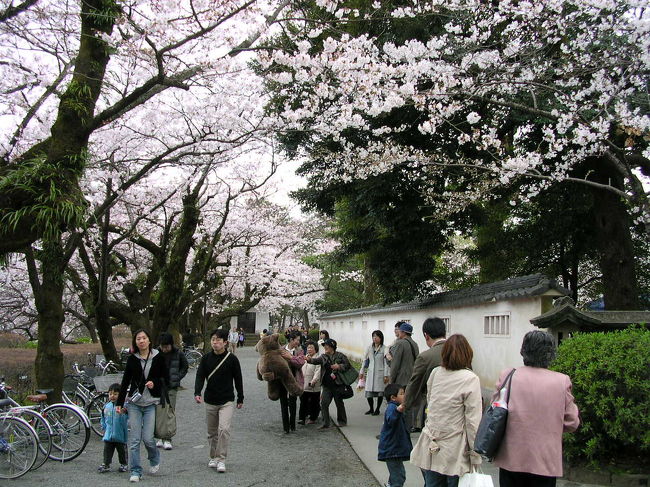 昔々ここで時代劇（チャンバラ）の撮影をよくやっていました。