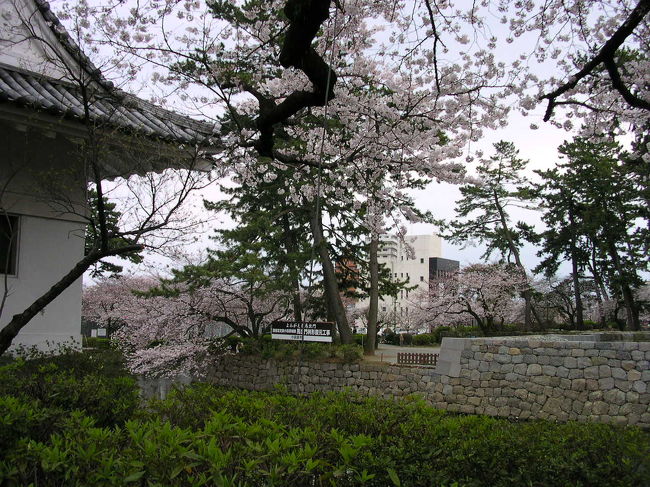 去年までここに住吉橋がかかっていましたが、歴史上事実でないと撤去されました。とっても残念。