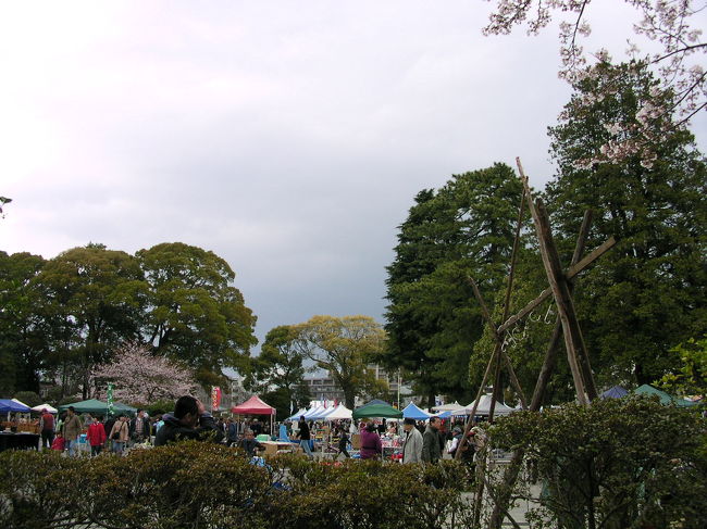 小田原おでんのお店や雑貨とかの販売テントが並んで賑やかでした。