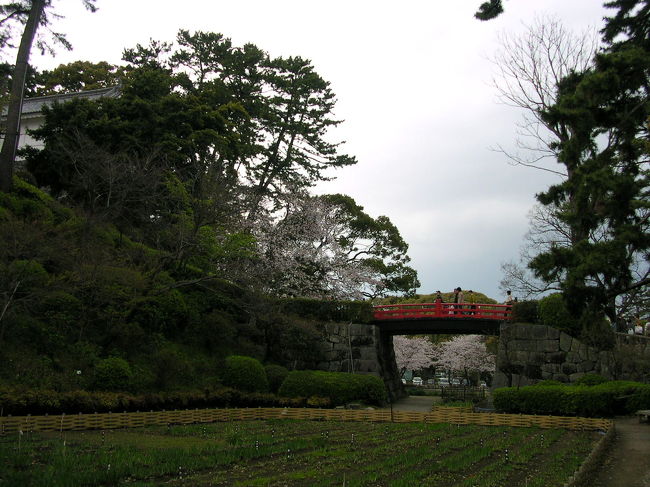 お城への入り口です。この橋の下はあやめ・菖蒲畑です。時期になると何十種類のあやめ・菖蒲が咲きます。あまりの人の多さでお城には行きませんでした。