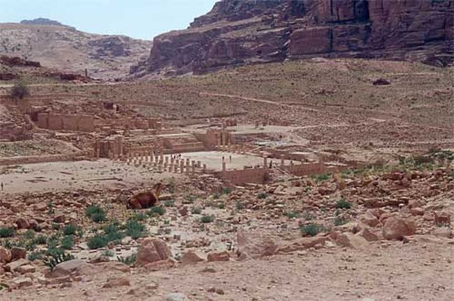 ビザンチン教会の前から下を見る