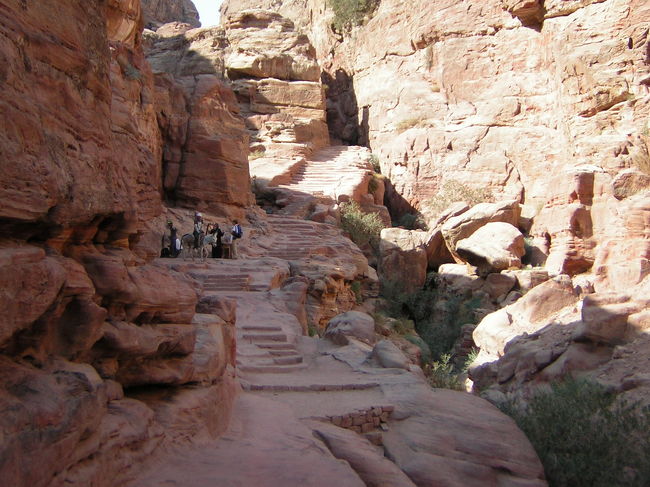 下山するのがもったいなくて<br />何度も何度も後ろを振り返りました。<br /><br />登ってる時はキツくて<br />なかなか景色を楽しめなかったけど<br />こうして見ると、本当に美しい光景です。