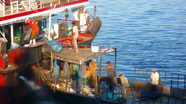 川では人々が一生懸命仕事をしていました。