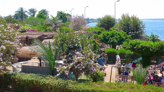 前は遊園地のような学校のような。