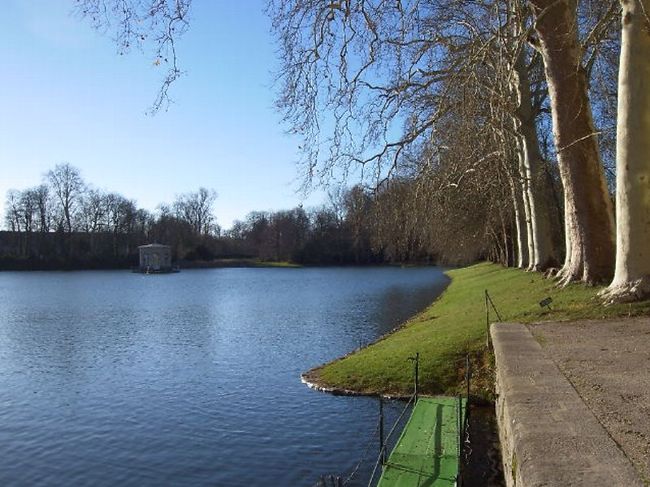 中庭の風景。夏の新緑の季節は美しいでしょうね！