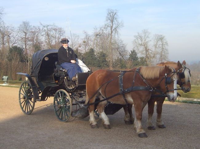 庭には馬車に乗るおばあさんがいました。絵になる。