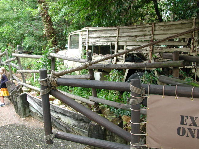 インディージョーンズ