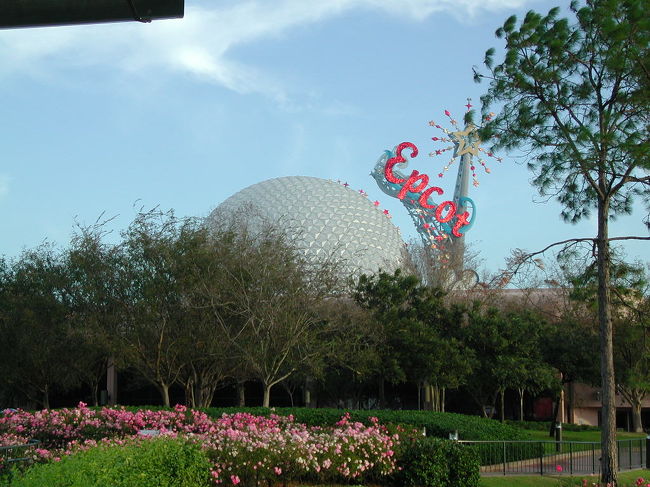 見えてきました