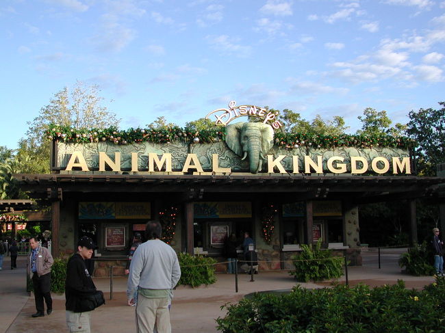 ３日目はアニマルキングダム