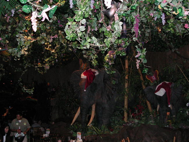 Rainforest Cafe