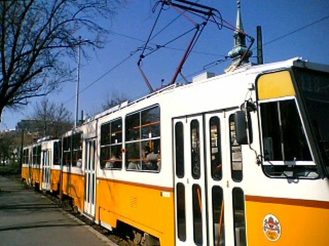 ちょっと近いですが、トラムの写真。地元の方々の足です。