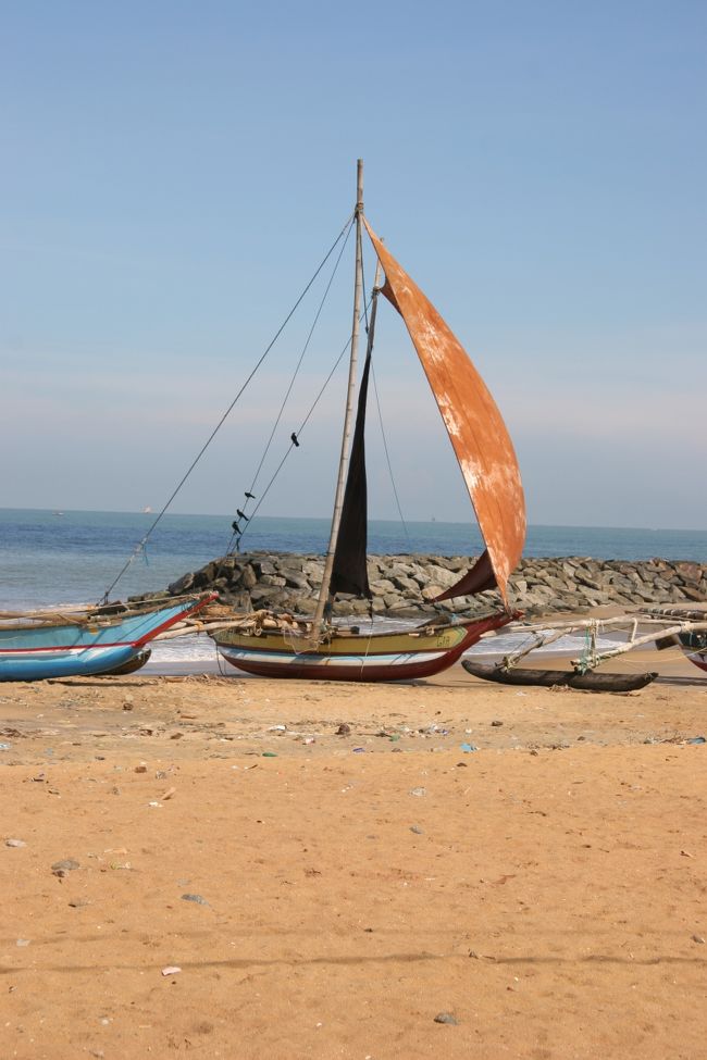 魚市場近くの海岸