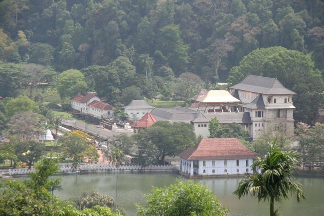 遠くに佛歯寺がみえます。