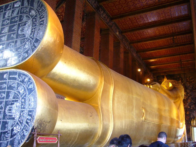 後ろから撮りました。<br /><br />あまりの長さに全身をおさめるのは難しいです。