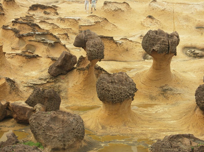 野柳<br /><br />野柳地質公園